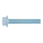 Vijci metricki/colni