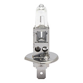 Halogena sijalica za glavne farove 12V PLUS 50