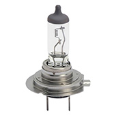 Halogena sijalica za glavne farove 12V STANDARD