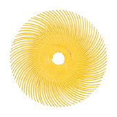 Obodni cekinjasti disk