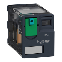 Cat Image