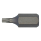 Bit TX 10 mm, vel.20                                  