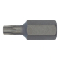 Bit TX 10 mm, vel.27                                  