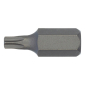 Bit TX 10 mm, vel.30                                  