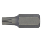Bit TX 10 mm, vel.55                                  