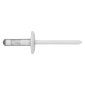 Slijepa zakovica ravne zaobljene glave Alu/INOX, lakirana, RAL9010, 4,8X25                         